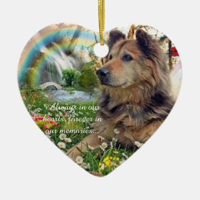 Memoria Del Ornamento Mascota (Frente)