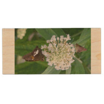 Guardar la unidad flash USB Butterflies