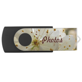 Memoria USB Nombre y nombre de las flores de ciruela salvaje d