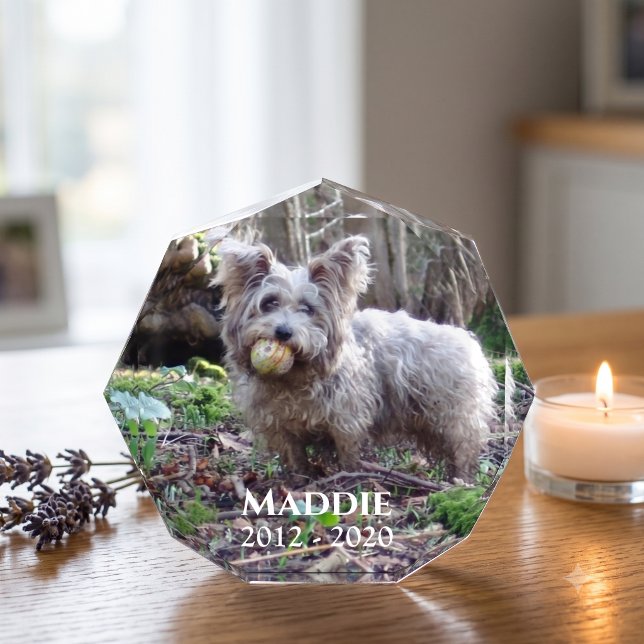 Memorial de Foto de Mascota con Nombre y Fecha (Subido por el creador)