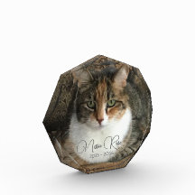 Memorial de la foto de mi gato