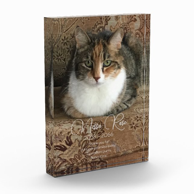 Memorial de la foto de mi gato (Izquierda)