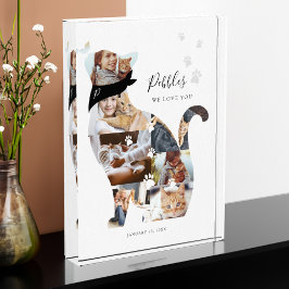 Memorial del Mascota del Collage de fotos del gato