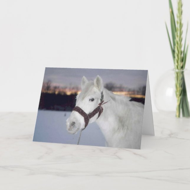 Mención honorable de la tarjeta de Navidades OMRH  (Anverso)