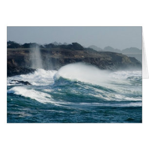 Mendocino Cove