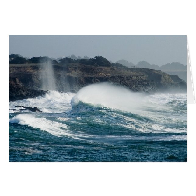 Mendocino Cove (Anverso (Horizontal))