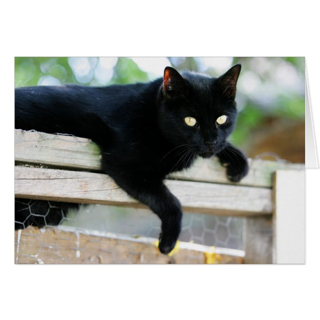 Menor (Anverso (Horizontal))