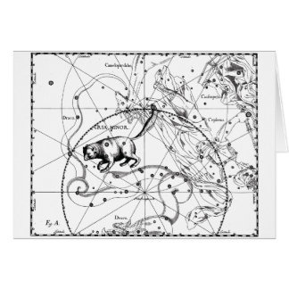 Menor de Ursa