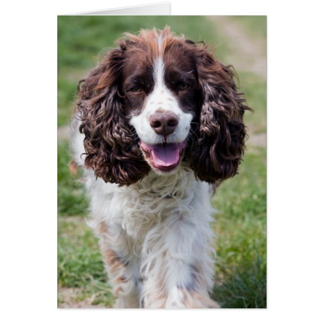 menos caminar.png (Frente)