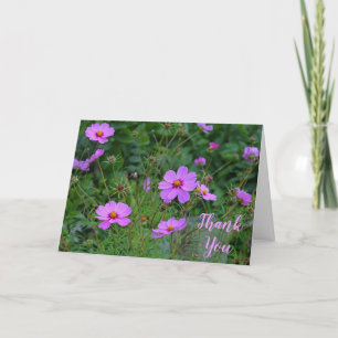 Mensaje de agradecimiento a Pink Purple Cosmos Flo