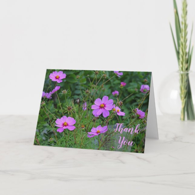 Mensaje de agradecimiento a Pink Purple Cosmos Flo (Anverso)