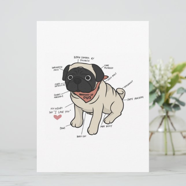 Menú Anatomía De La Gráfica De Perros De Pug (Anverso de pie)