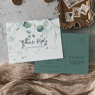 Menú de eucalipto verde de verano Elección de post