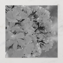 Menú floral con cortina blanca