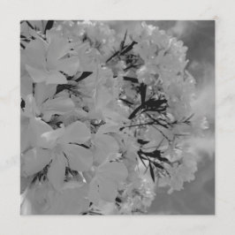 Menú floral con cortina blanca