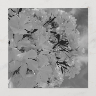 Menú floral con cortina blanca