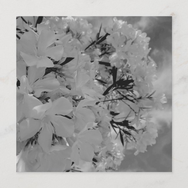 Menú floral con cortina blanca (Anverso)