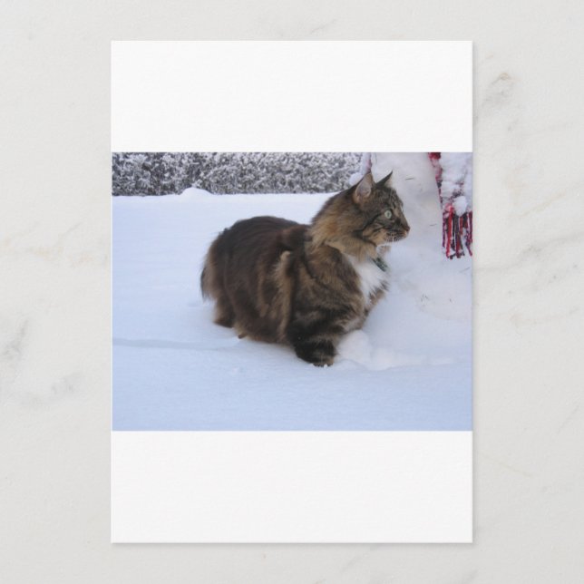 Menú gato del bosque noruego en la nieve (Anverso)