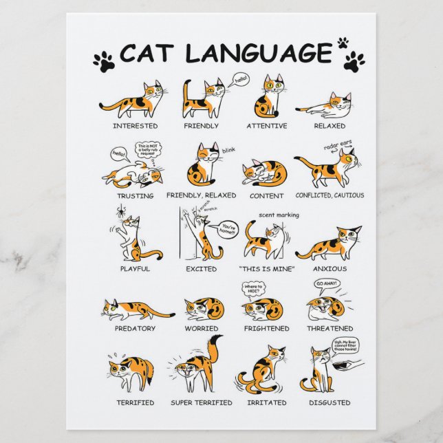 Menú Idioma del gato, gatito gracioso, idea de regalo d (Anverso)