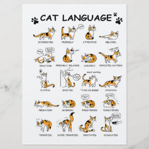 Menú Idioma del gato, gatito gracioso, idea de regalo d