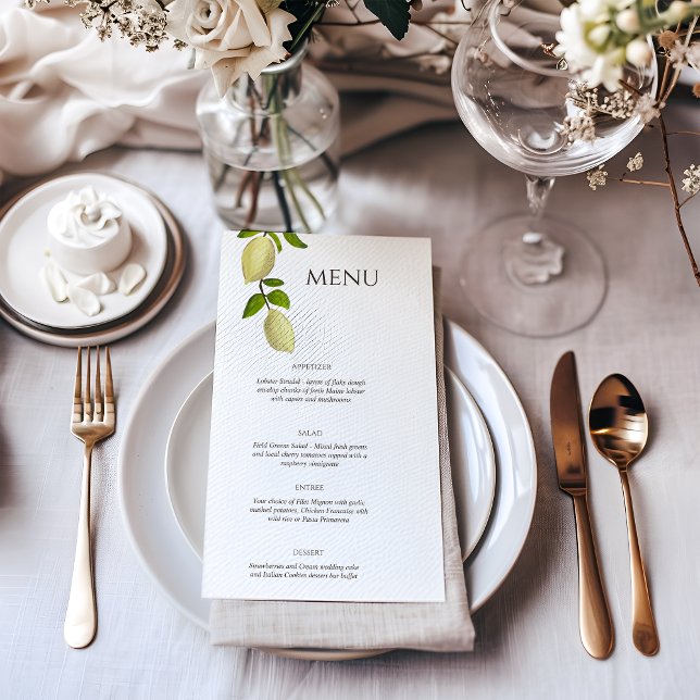 Menú Limones pintados con cítricos frescos Mediterráneo (Subido por el creador)