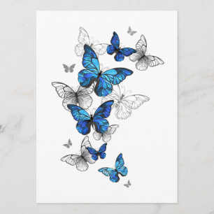 Menú Morfo de las mariposas voladoras azules