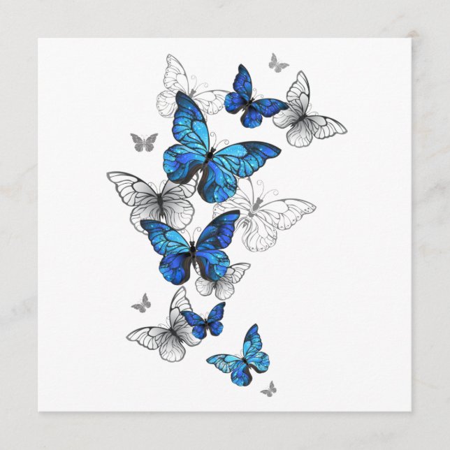 Menú Morfo de las mariposas voladoras azules (Anverso)