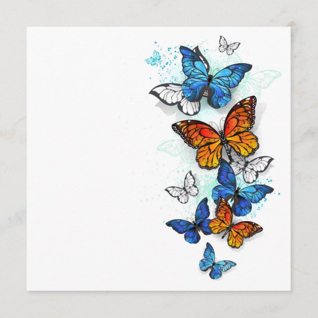 Menú Morfo y monarca de las mariposas voladoras (Anverso)