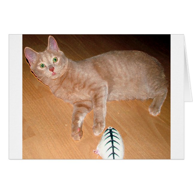 MEOW (Anverso (Horizontal))