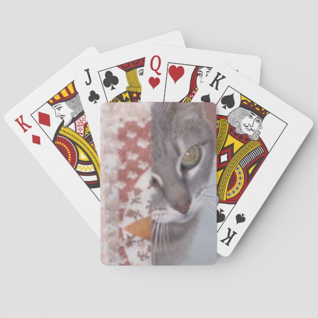 Meow Cats 13 Cartas De Juego (Reverso)