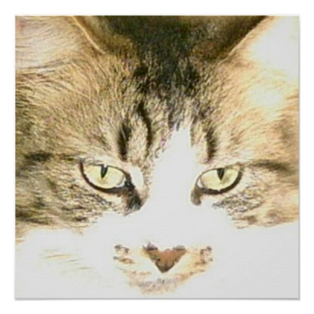 Meow Cats 14 Poster (Anverso)