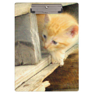 Meow Cats 1 Portapapeles
