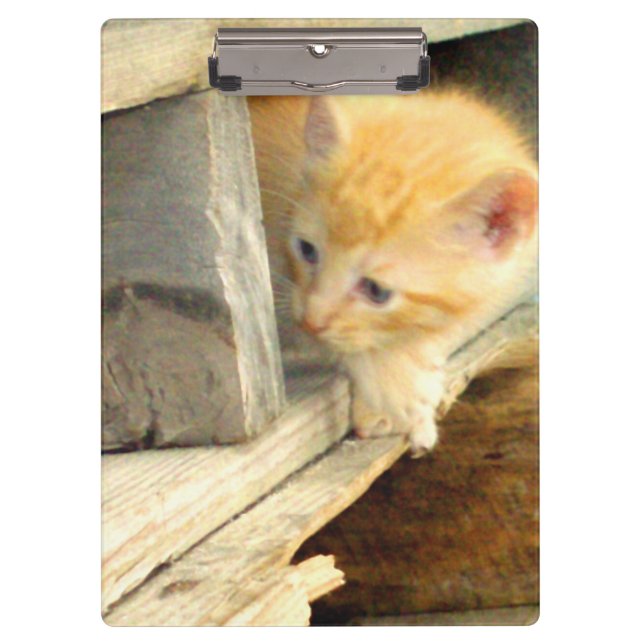 Meow Cats 1 Portapapeles (Anverso)