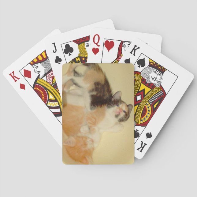Meow Cats 5 Cartas De Juego (Reverso)