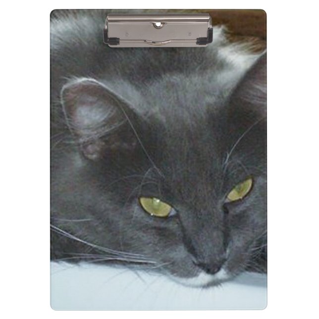 Meow Cats 8 Portapapeles (Anverso)