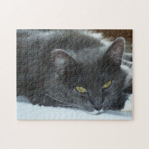 Meow Cats 8 rompecabezas