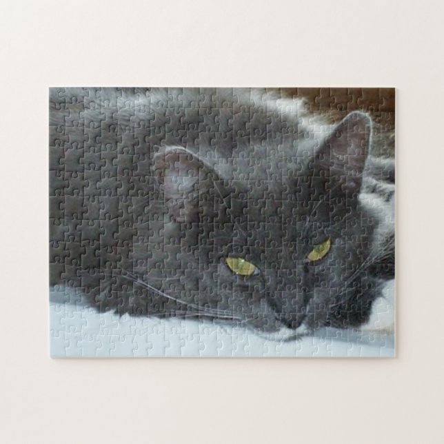 Meow Cats 8 rompecabezas (Horizontal)