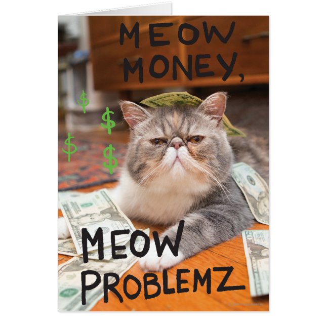 Meow Money, Meow Problemz (Frente)