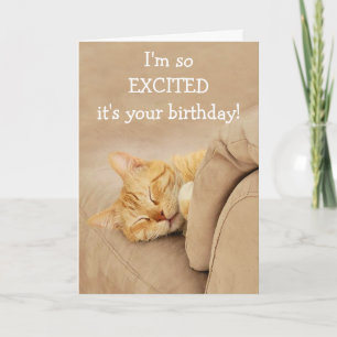 Meow-Velous De La Tarjeta De Cumpleaños Del Gato