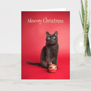 Meowy (Feliz) Navidad Gato Con Humor Ornamento