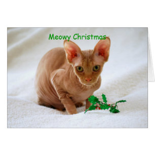 Meowy Navidades Sphinx Cat