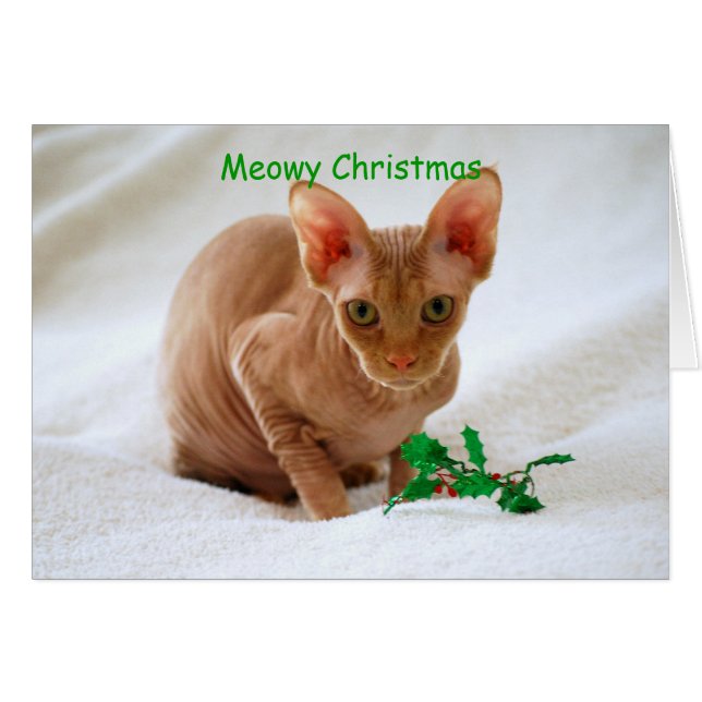Meowy Navidades Sphinx Cat (Anverso (Horizontal))