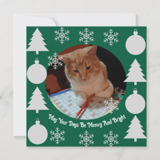 Meowy y brillante, foto de gato, Navidad