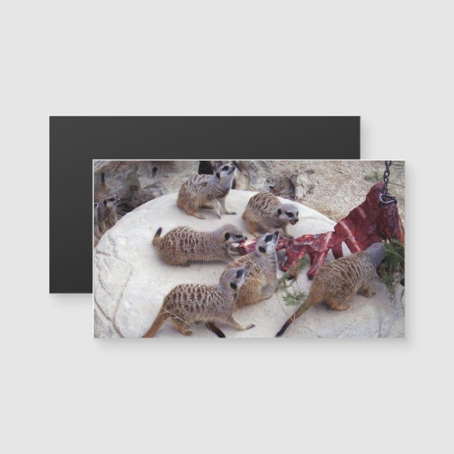 Mercadillos Carnívoros Con Costillas Para El Té, (Anverso/Reverso)