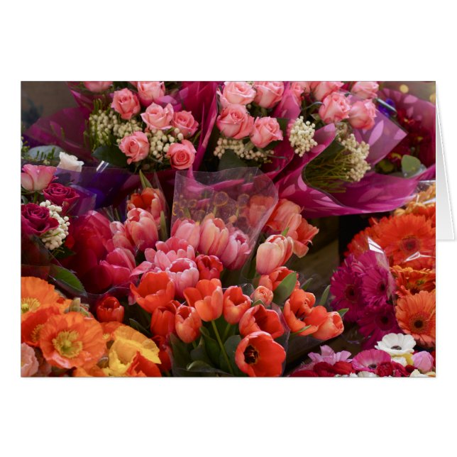 Mercado de flores de Sudáfrica (Anverso (Horizontal))