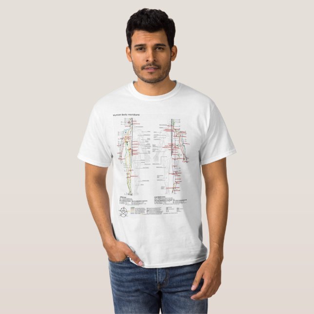 Meridianos chinos esquemáticos de camisetas (Anverso completo)