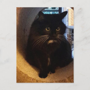 Merlin en la tarjeta postal del túnel