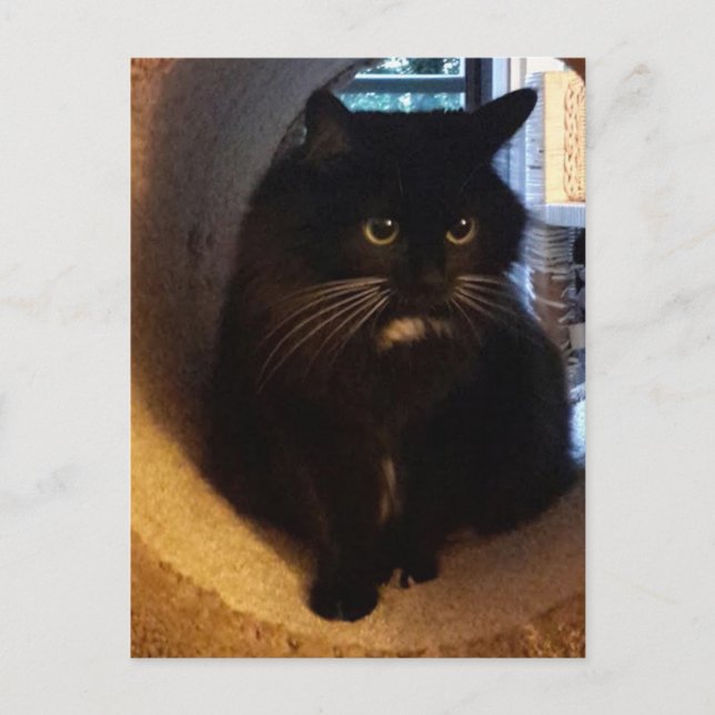 Merlin en la tarjeta postal del túnel (Anverso)