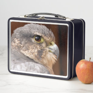 MERLIN FALCON BIRD OF PREY