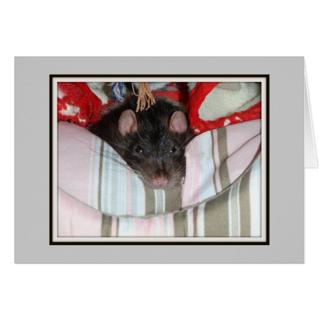 Merlin Lazy (Anverso (Horizontal))